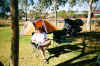 Cobar campsite